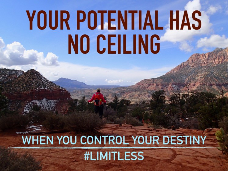 #limitless #Gogettheworld