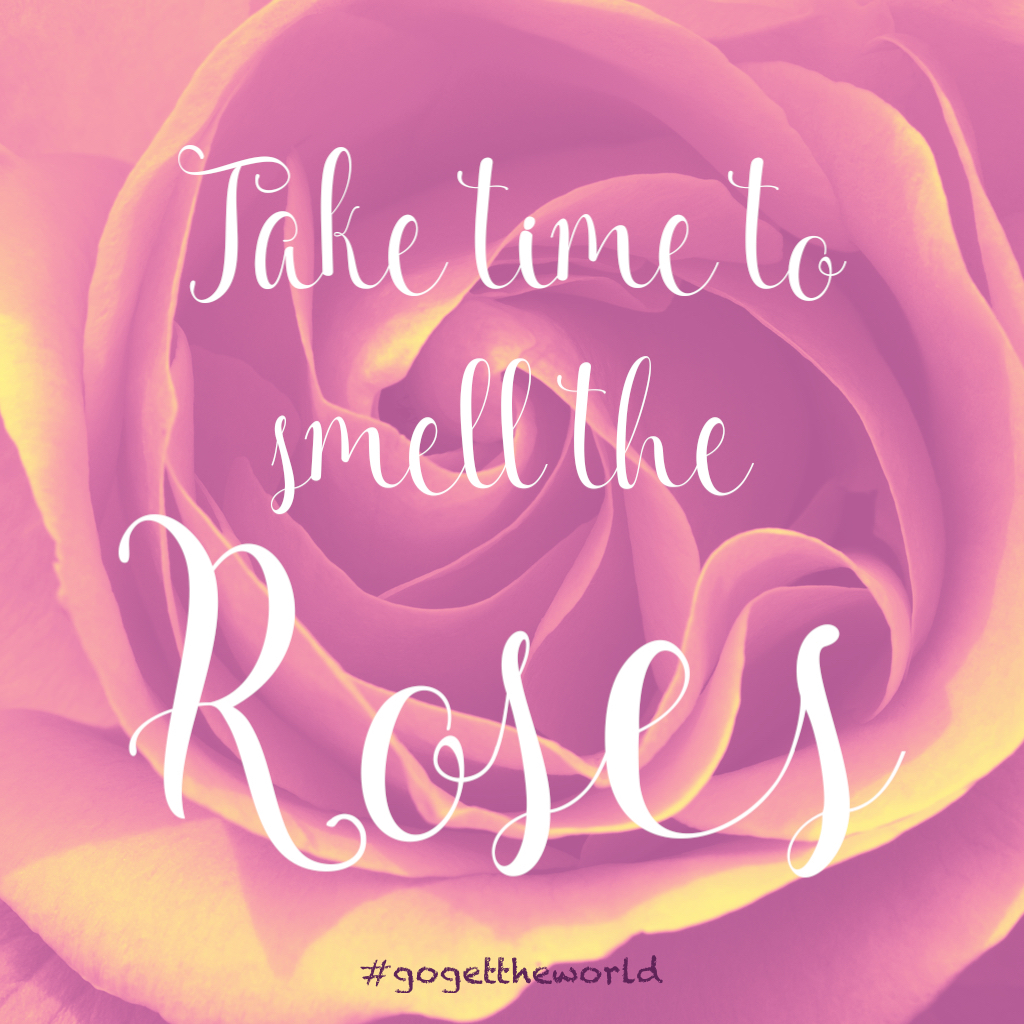 A picture of a rose below the phrase "Take time to smell the roses." #gogettheworld